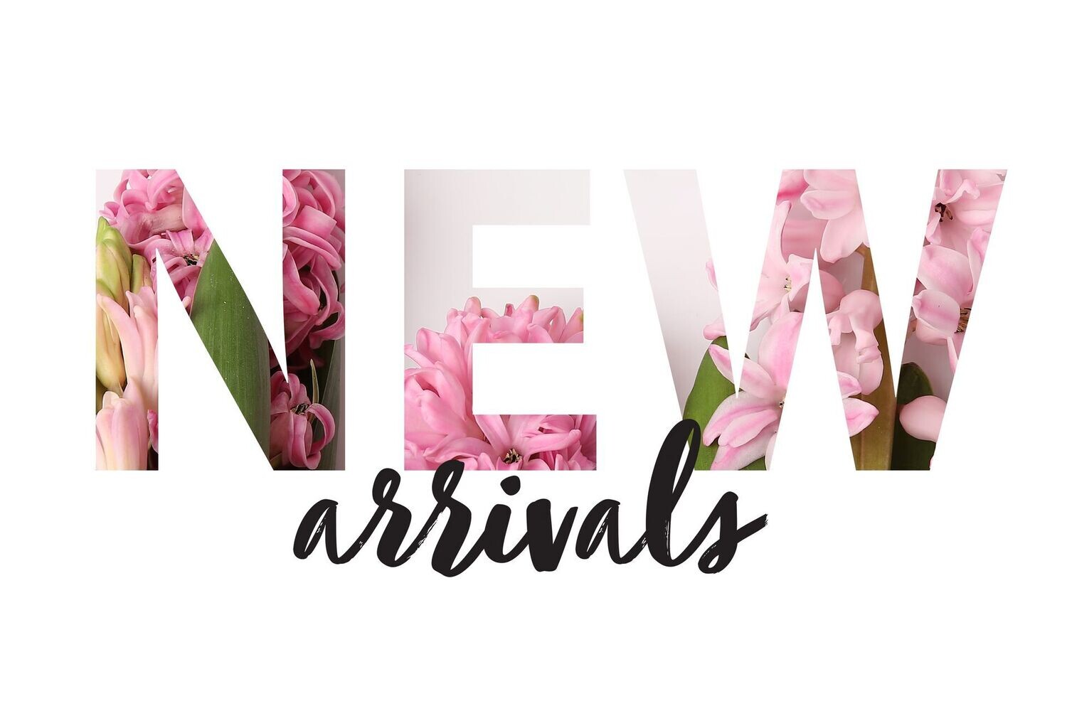 New Arrival