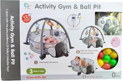 Large Baby Gym & Ball Pit, Play Mat & Play Gym, Combination Baby Activity Gym with Milestone Cards for Sensory Exploration and Motor Skill Development,