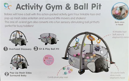 Large Baby Gym & Ball Pit, Play Mat & Play Gym, Combination Baby Activity Gym with Milestone Cards for Sensory Exploration and Motor Skill Development,