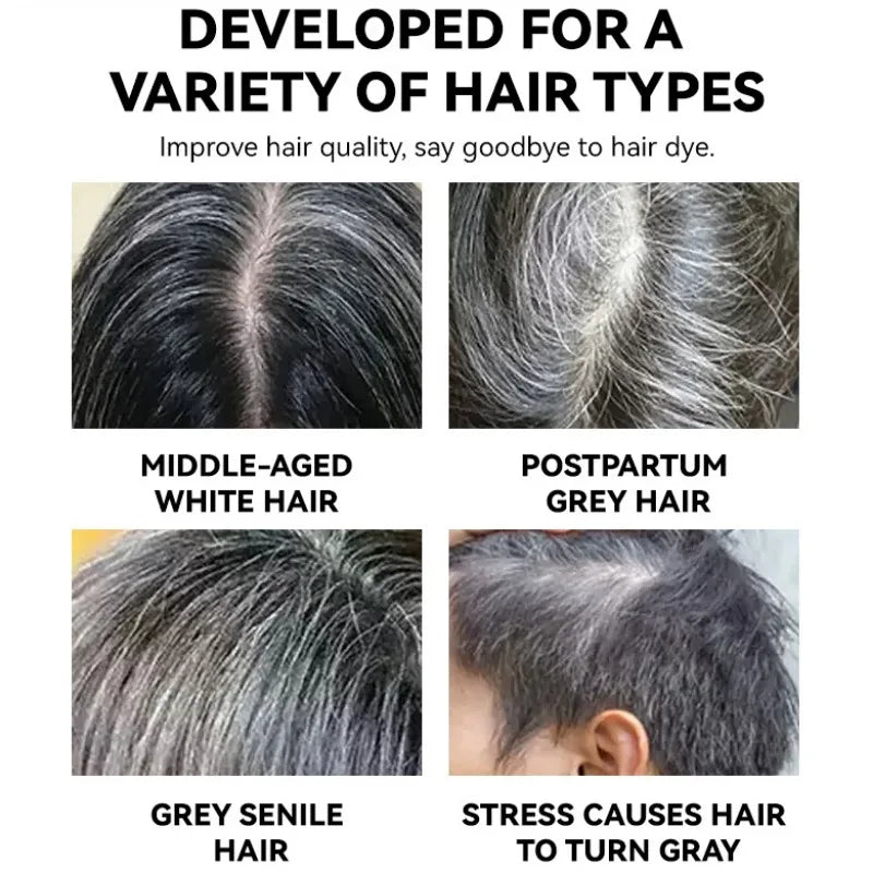 Black and Brown One-off Temporary Hair Coloring Covered White Hairs Hairline Disposable Lipstick Hair Dye Stick Smear Type Dye